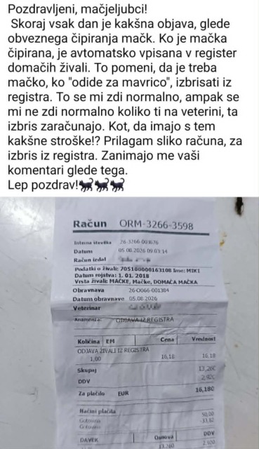 Mačka ji je poginila, nato pa jo je šokiral račun na veterini – poglejte, kaj so ji zaračunali (FOTO)