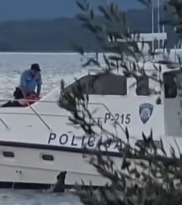 Posnetek s Pašmana zgrozil javnost: Policist vrgel psa s čolna v morje, o dogodku se je oglasila policija (VIDEO)