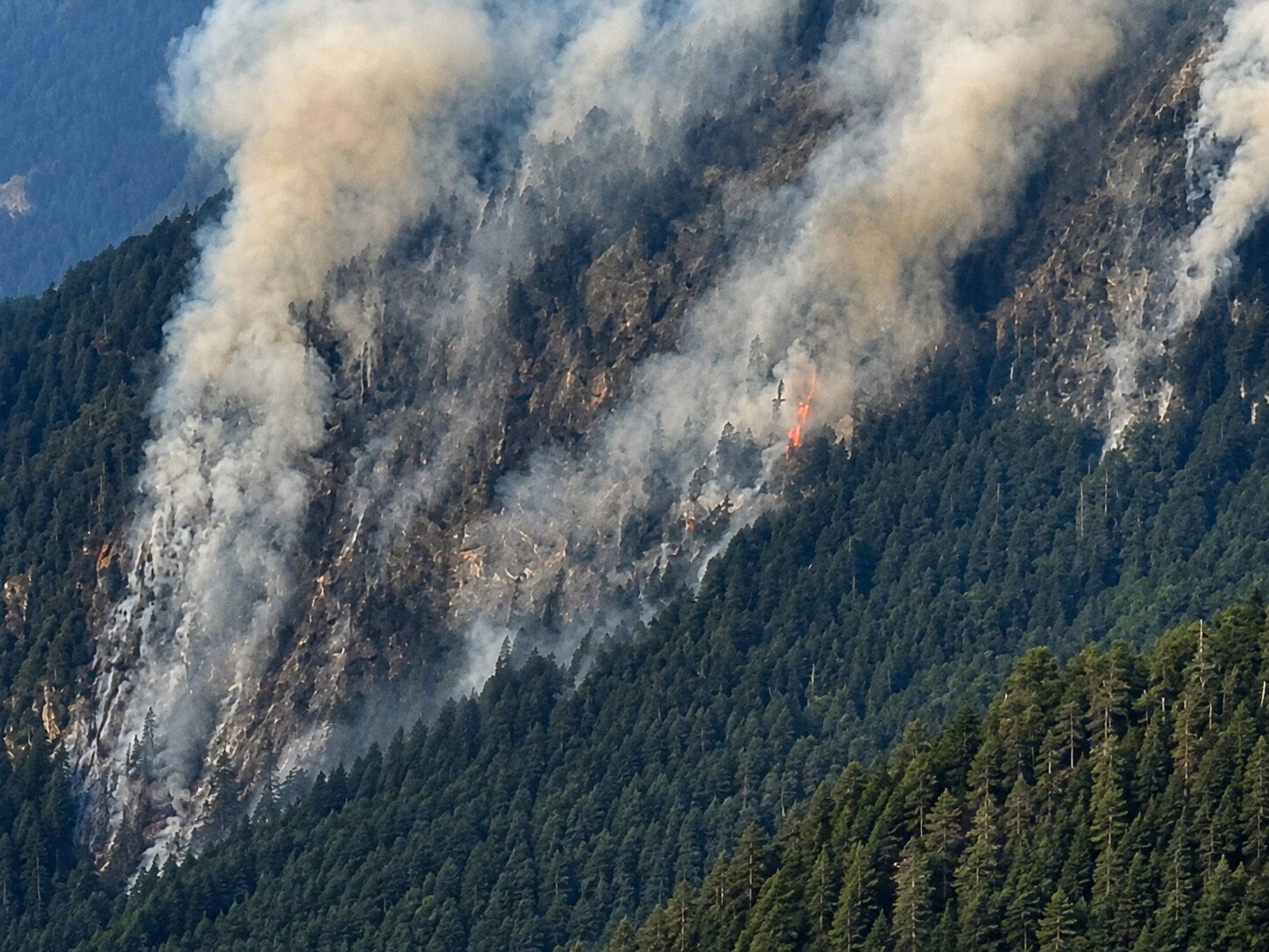 Šokantno obnašanje: kolesar nalašč zadrževal gasilce, ki so hiteli na požar na Komni - vozil po sredini ceste in kazal sredinca (FOTO)