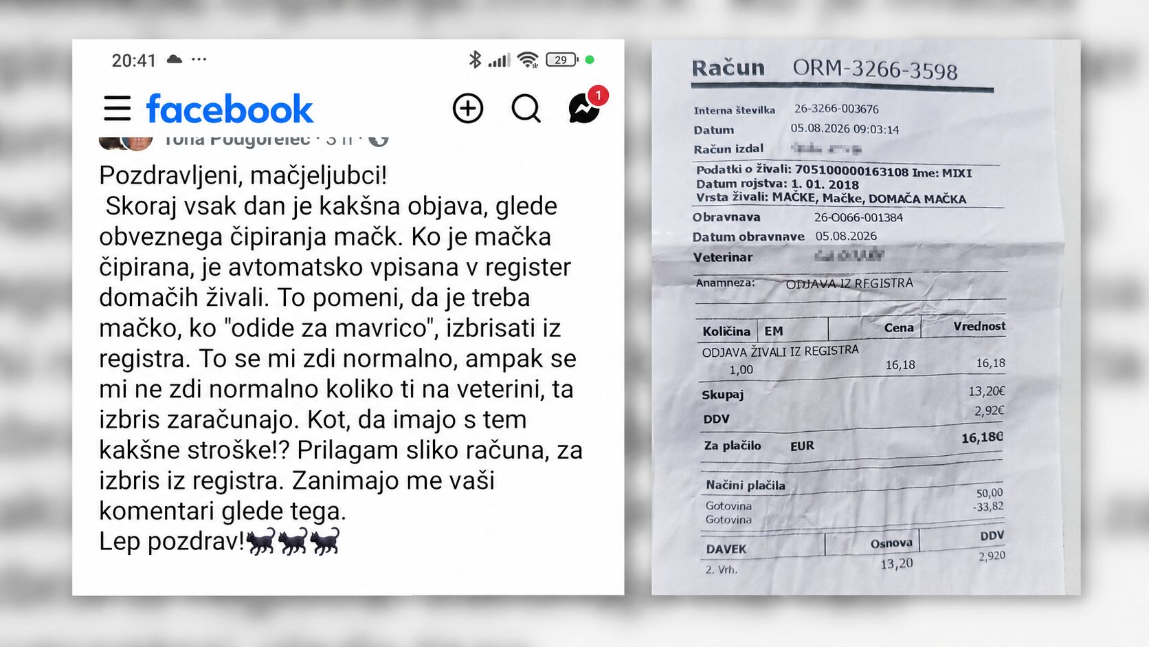 Mačka ji je poginila, nato pa jo je šokiral račun na veterini - poglejte, kaj so ji zaračunali (FOTO)