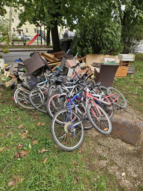 Ljubljana ima nov problem, ljudje se že jezijo: »Kaj bi dal revež za to«