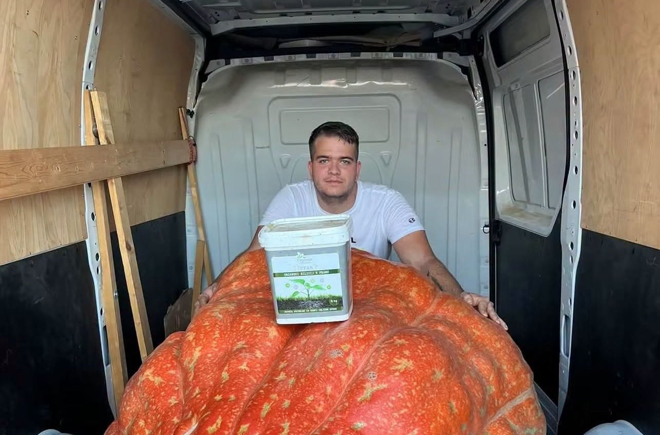 Poglejte to velikanko! Domen Zorko je 353-kilogramsko bučo peljal vse do Mozirskega Gaja