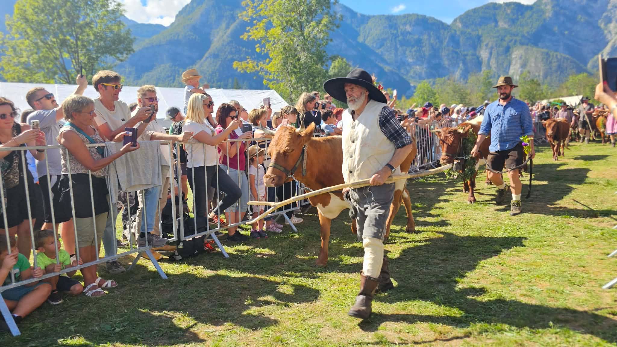 Krave se vračajo v dolino, čas je za Kravji bal (FOTO)