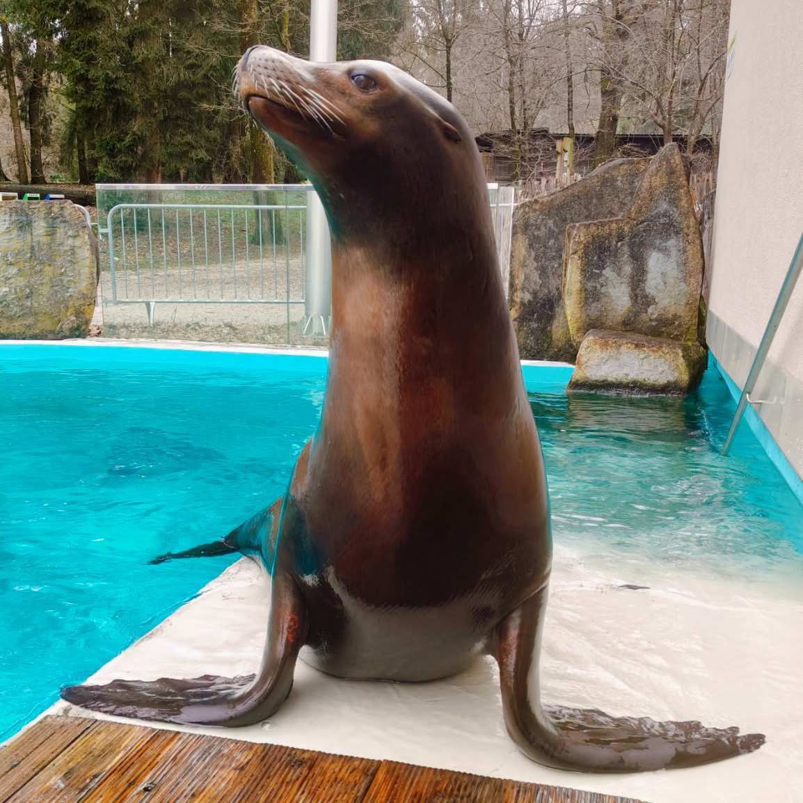 Slovo, ki je ganilo obiskovalce ZOO Ljubljana: »Še v nedeljo smo gledali Jipa, zdaj pa ga ni več …«