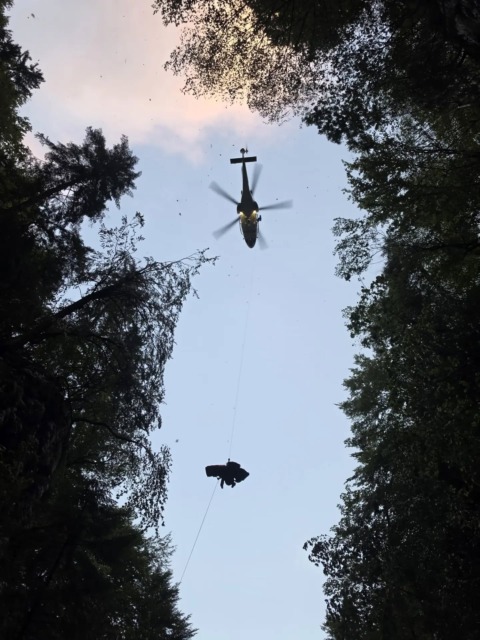 Nova dejstva o tragediji pri slapu Savica: sedemletnik se je oddaljil, 44-letni oče stekel proti njegovim krikom