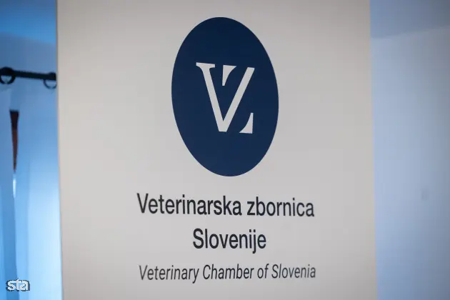 Zahteve novega direktorja Veterinarske zbornice dvignile prah: Katja Kokot – »Ampak ti iz javnega sektorja, kot da niso v stiku z realnostjo«