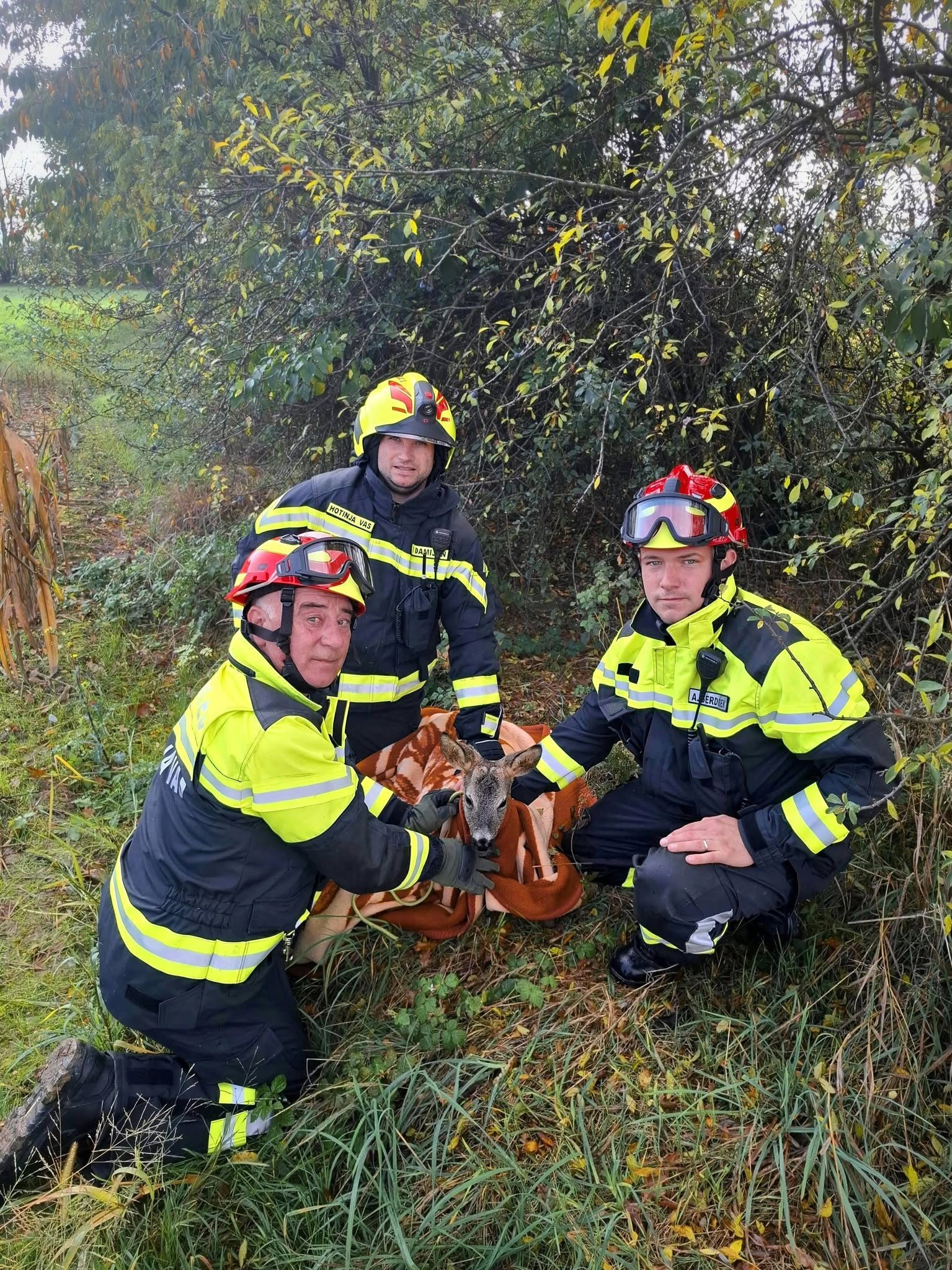 To so gasilci, ki so v Hotinji vasi rešili srnjaka iz stare čistilne naprave, na pomoč jih je poklicala občanka (FOTO)