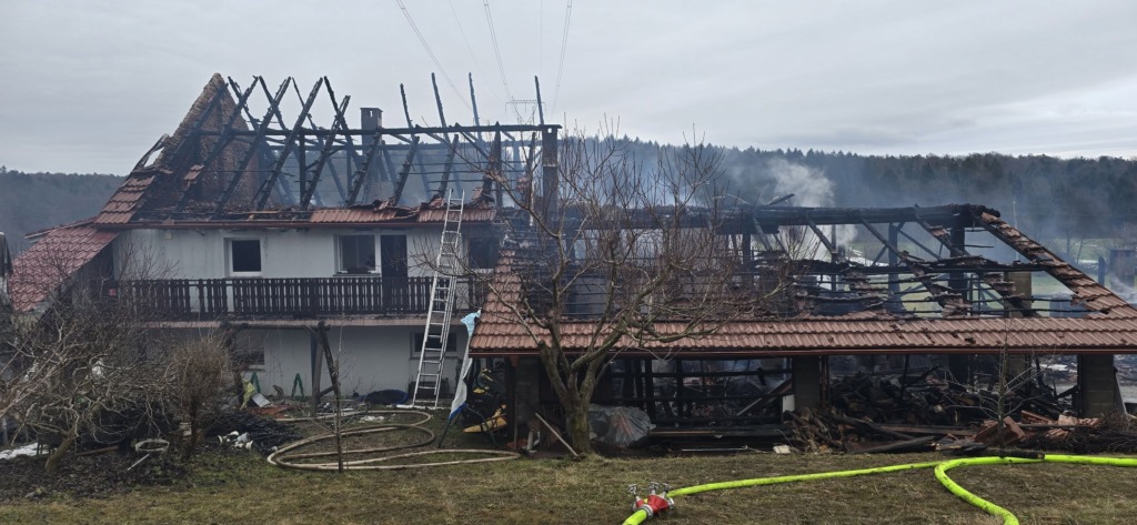 Pred devetimi meseci jima je ogenj vzel dom, zdaj pa ganljiva novica: »Uspelo je!«