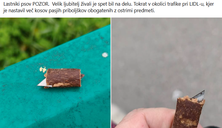 Kaj se dogaja v tem slovenskem kraju? Med pasjo hrano našli nekaj grozljivega: »To bi lahko pobral tudi otrok!«