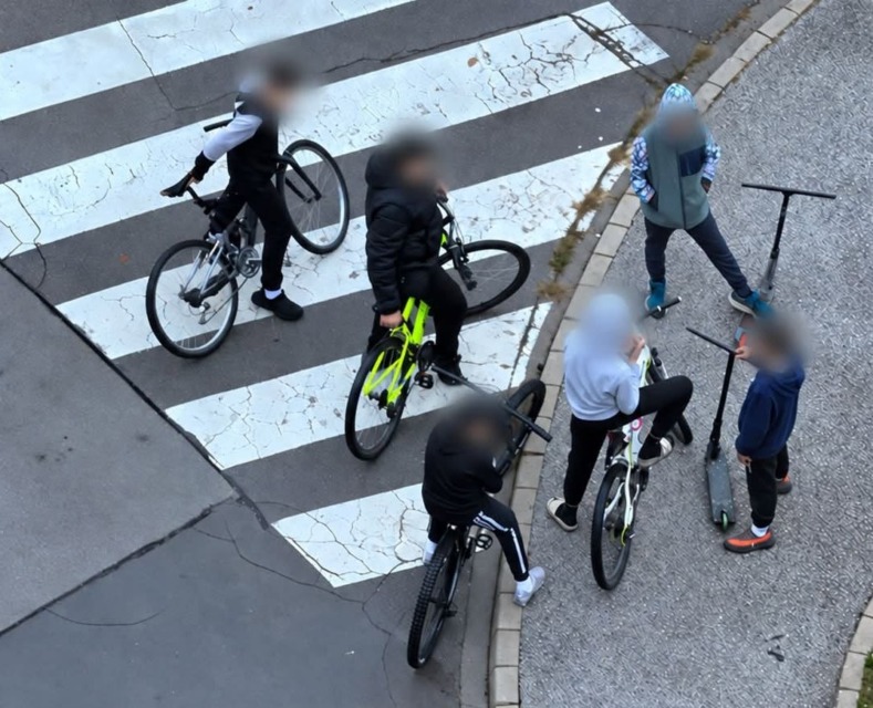 Jasen poziv na Facebooku: »Že tri tedne terorizirajo prebivalce in živali!«